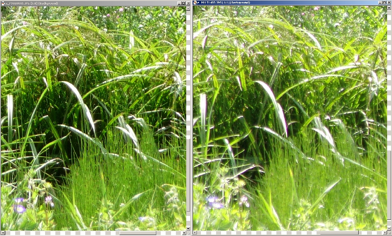 Cliquer pour l'image originale
