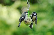DSC_5764_Dx6125_raw * 4288 x 2848 * (940KB)
