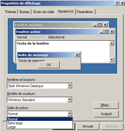 Affichage_apparence.png