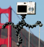 GorillaPOd.png