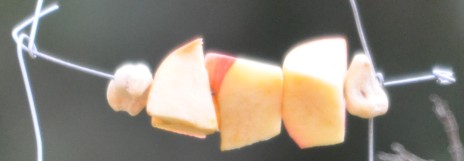 cliquer sur l'image pour un crop 100%