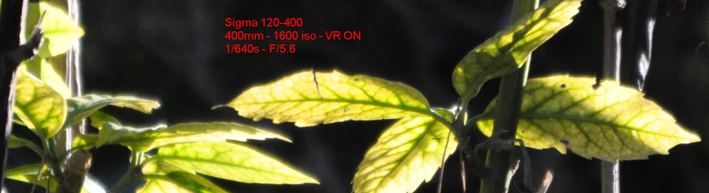 cliquer pour obtenir un crop 100%