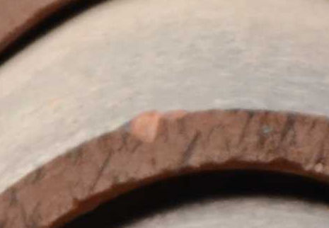 D7K_2282_Dx725_crop.jpg
