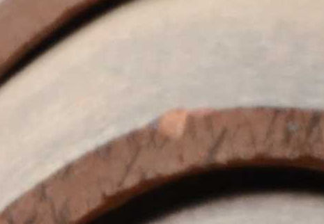 D7K_2283_Dx725_crop.jpg
