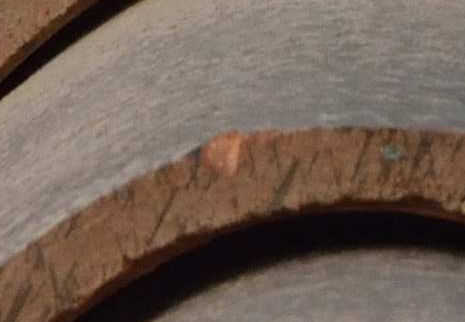 IMG_3124_crop.jpg